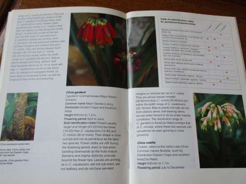 GROW CLIVIAS - Kirstenbosch Gardening Series