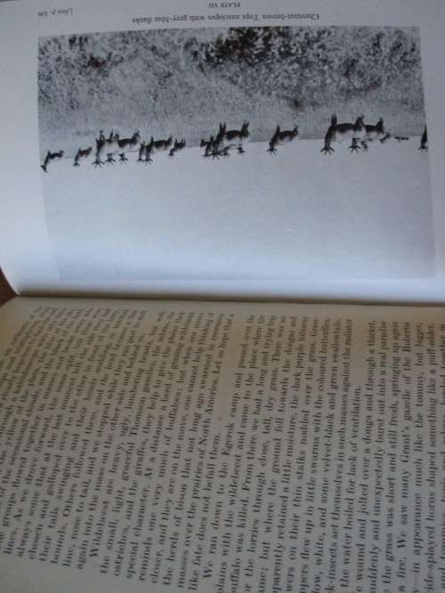 TANDALLA  A Danish game warden`s study of wild life, Kenya and Tanganyika Count G. Ahlefeldt Bille