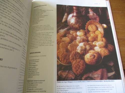 Die Suid-Afrikaanse Indier-Kookboek Ramola Makan
