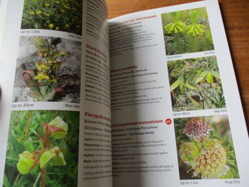 SIGNED. FERNKLOOF NATURE RESERVE HERMANUS
