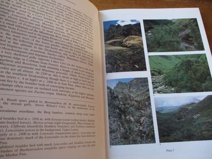 The Botany of the Southern Natal Drakensberg  Hillard and Burtt