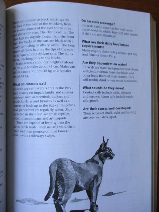 KRUGER NATIONAL PARK  Questions & Answers PF Fourie  Updated by C van der Linde