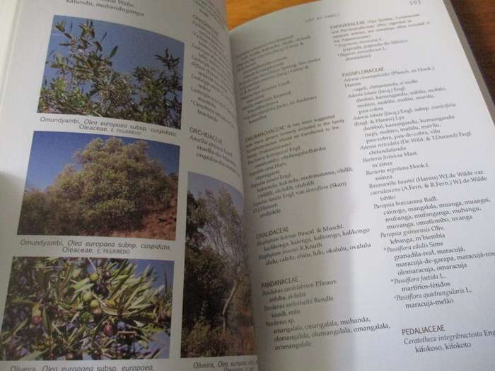 Common names of ANGOLAN PLANTS Estrela Figueiredo & Gideon F. Smith