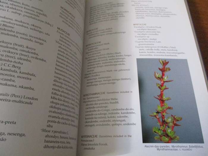 Common names of ANGOLAN PLANTS Estrela Figueiredo & Gideon F. Smith