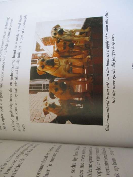 Die BOERBOEL eie aan Suid-Afrika  Anemari Pretorius