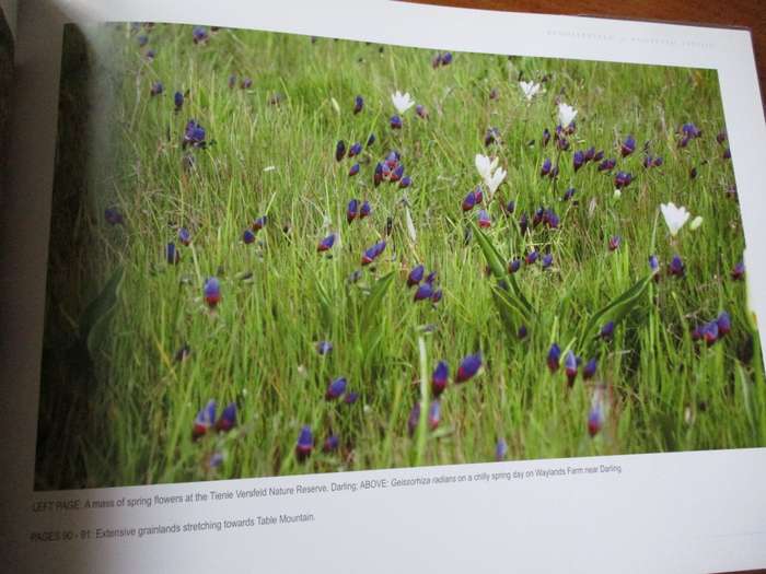 RENOSTERVELD a wilderness exposed Ruth Parker & Brita Lomba