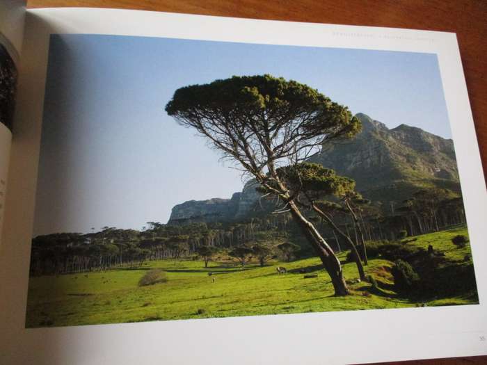 RENOSTERVELD a wilderness exposed Ruth Parker & Brita Lomba