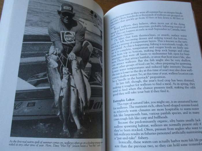 Walleye Tactics, Tips & Tales  Mark Strand