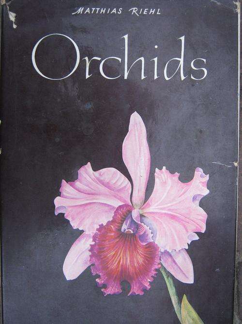 ORCHIDS. Matthias Riehl