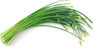 Chives - Garlic - 25 Seeds