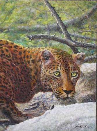 The Leopard