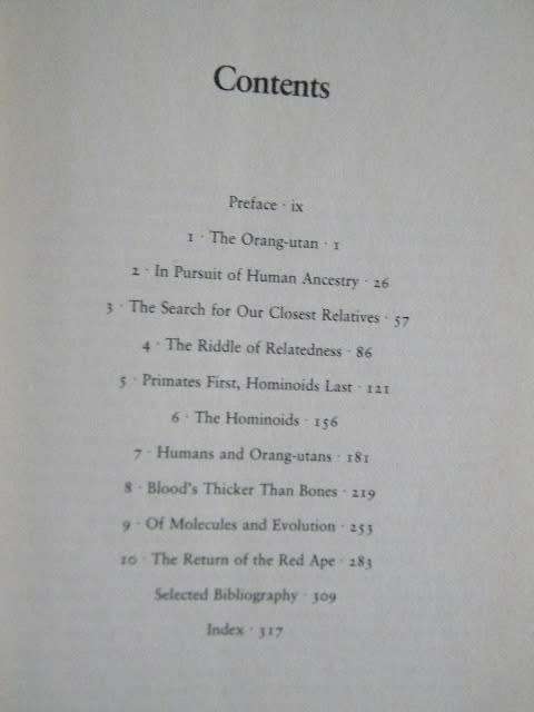 THE RED APE  Orang-utans and Human Origins  by Jeffrey H. Schwartz