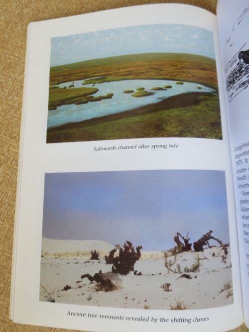 LAGOON by Arne and Pat Schaefer  AND  SALDANHA BAY - LANGEBAAN