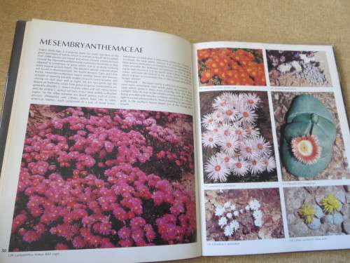 WILD FLOWERS OF SOUTH AFRICA  Approved by National Botanic Gardens SA Kirstenbosch