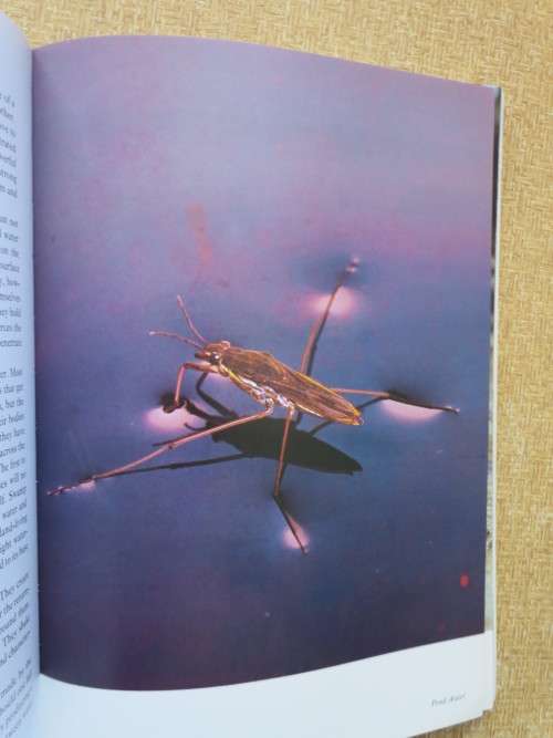 THE LIVING PLANET  by David Attenborough