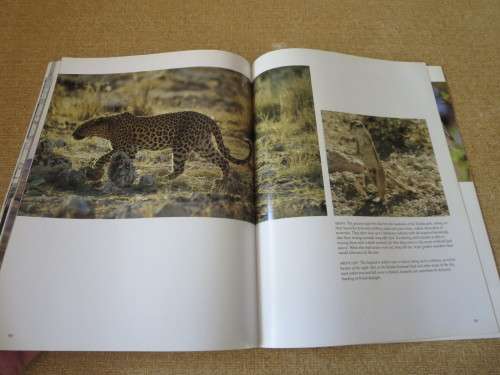NAMIBIA  The beautiful land  Text by David Bristow