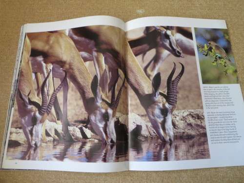 NAMIBIA  The beautiful land  Text by David Bristow