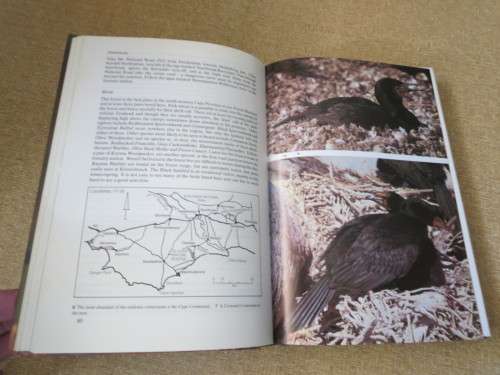 WHERE TO WATCH BIRDS IN SOUTH AFRICA  by A. Berruti  &  J.C. Sinclair