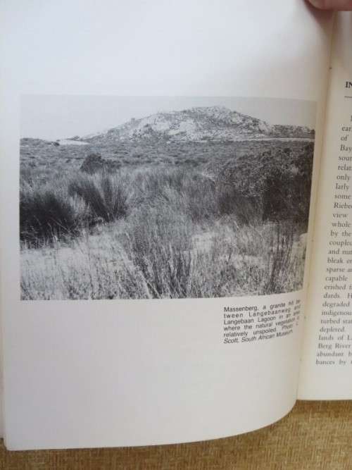 LANGEBAANWEG  A Record Of Past Life  by Q. B. Hendey  (Fossil Site)