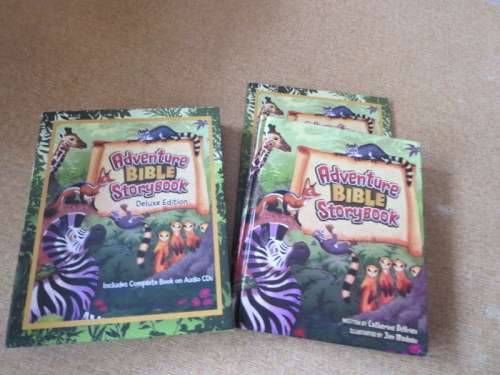ADVENTURE BIBLE STORYBOOK  Text: Catherine DeVries  Illustrations: Jim Madsen  (In slipcase)