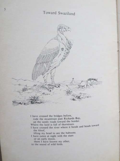 LAST LETTERS FROM THE WILDERNESS  by Ramsay Mackay  Illustrated by Norman Catherine