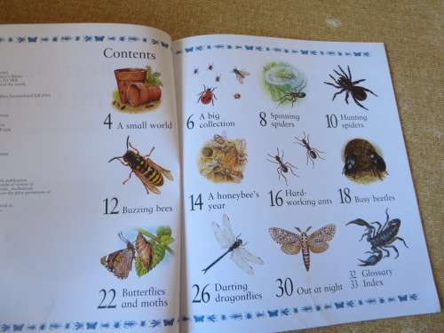 MY BEST BOOK OF CREEPY CRAWLIES  by Claire Llewellyn