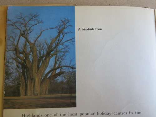 LET`S VISIT RHODESIA  by Guy Winchester-Gould (RHODESIANA)