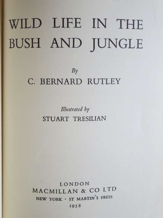 WILD LIFE IN THE BUSH AND JUNGLE  by C. Bernard Rutley (3 True wild life stories)