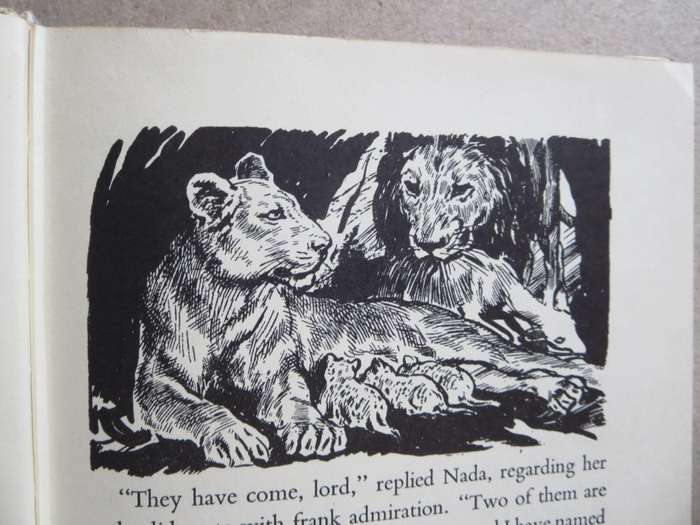 WILD LIFE IN THE BUSH AND JUNGLE  by C. Bernard Rutley (3 True wild life stories)
