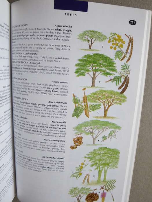 WILDLIFE OF SOUTHERN AFRICA  Field guide to animals and plants of the region by Vincent Carruthers
