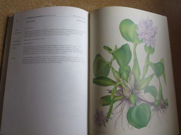 WEEDS OF CROPS AND GARDENS. Compiled by Kees Grabandt. (A CIBA-GEIGY Production)