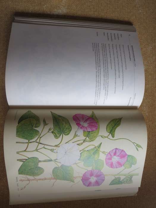 WEEDS OF CROPS AND GARDENS. Compiled by Kees Grabandt. (A CIBA-GEIGY Production)