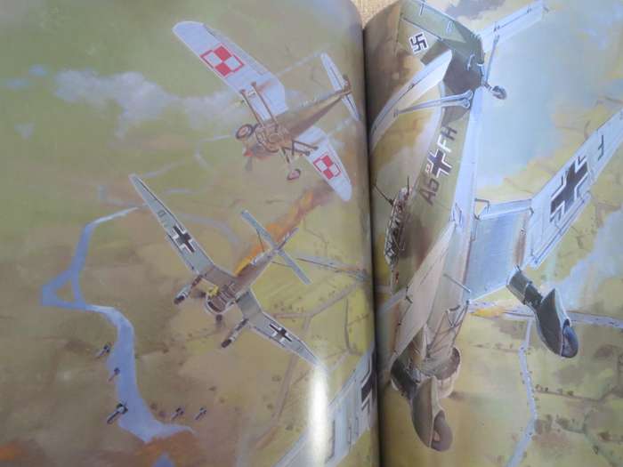 BATTLES OF WORLD WAR II  POLAND 1939. Germanys `lightning strike` Book 1
