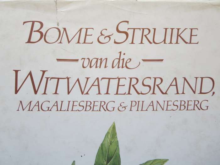 BOME EN STRUIKE van die Witwatersrand, Magaliesberg en Pilanesberg. Joan van Gogh & John Anderson.