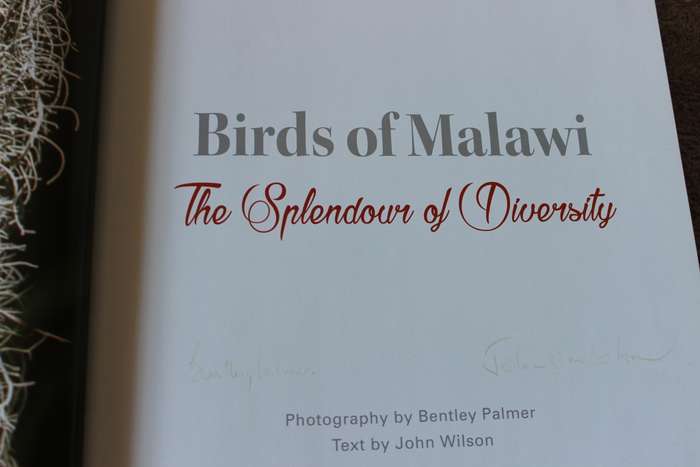 BIRDS OF MALAWI: The Splendour of Diversity. Photography by Bentley Palmer. Text by John Wilson.