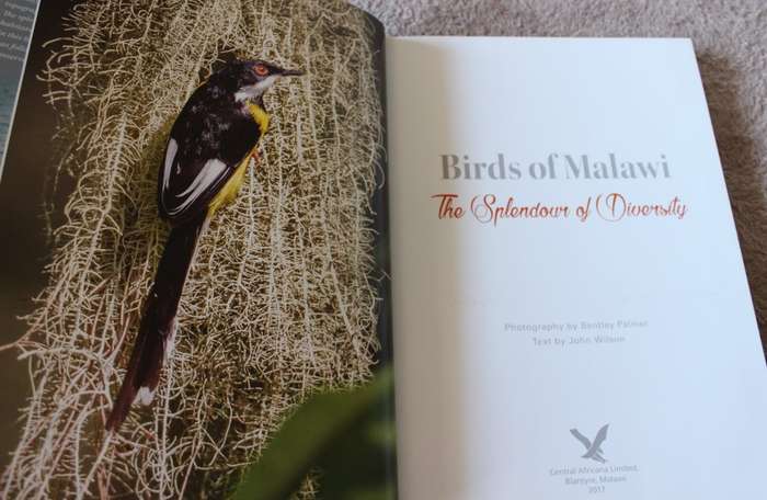 BIRDS OF MALAWI: The Splendour of Diversity. Photography by Bentley Palmer. Text by John Wilson.
