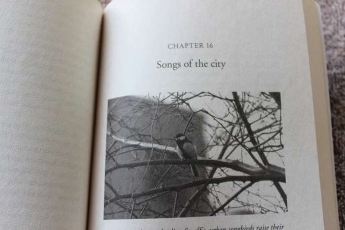 DARWIN COMES TO TOWN by Menno Schilthuizen. (How the Urban Jungle Drives Evolution).