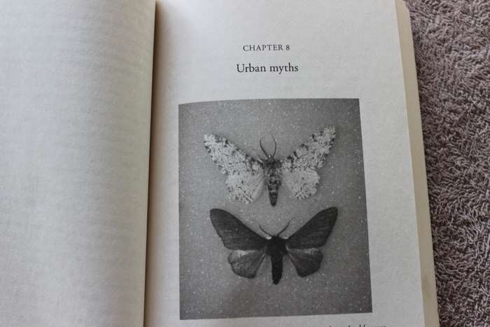 DARWIN COMES TO TOWN by Menno Schilthuizen. (How the Urban Jungle Drives Evolution).