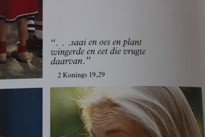 BOOM VAN DIE LEWE  Die verhaal van Kaapse Vrugte  deur Siegfried Stander