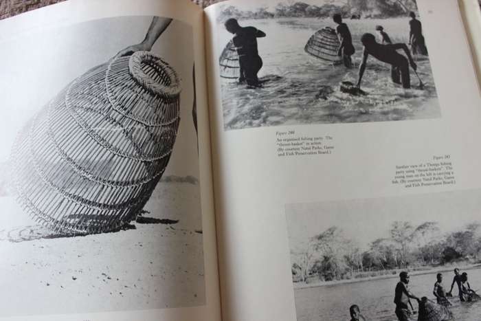 FRESHWATER FISHES of Southern Africa. R.A. Jubb. Illustrations by H.M. Jubb.     (W)