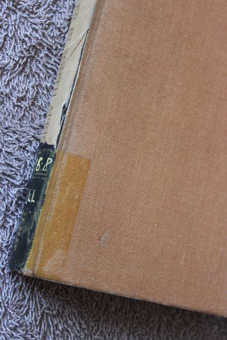 THE YOUNG TRAVELLER IN SOUTH AFRICA  by Anthony Delius