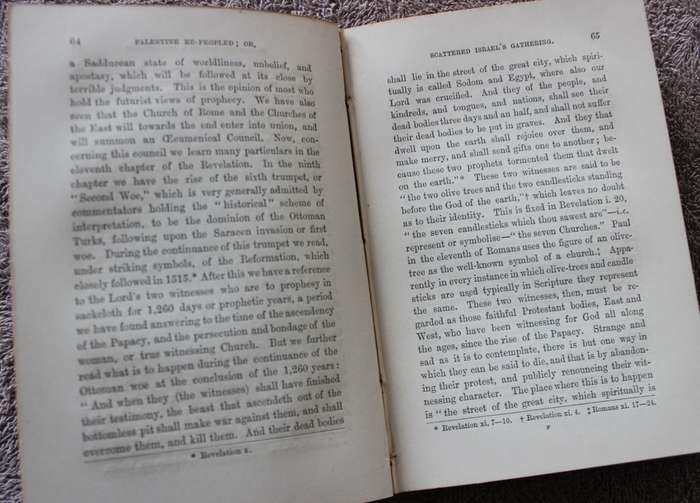 PALESTINE RE-PEOPLED. A sign of the times. By the Rev. James Neil. (1877)         (P)