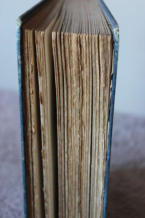 THE LIFE AND TIMES OF SIR RICHARD SOUTHEY  by The Hon. Alex Wilmot