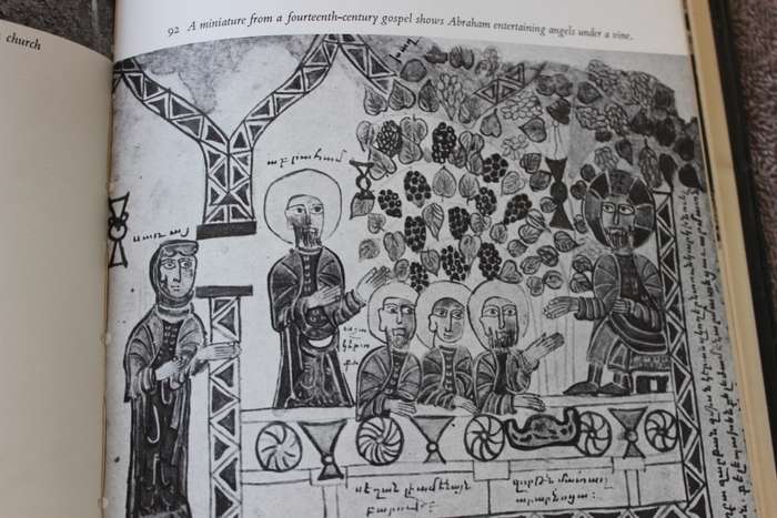 A SOCIAL HISTORY OF THE WINE VINE  DIONYSUS  by Edward Hyams  (C)