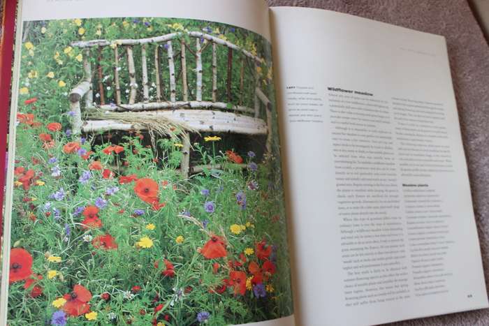 HEALING GARDENS  by Romy Rawlings (C)