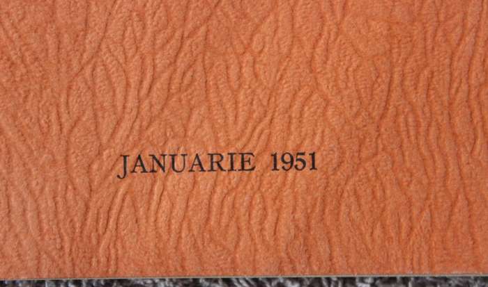 DIE NATUREL IN DIE SUID-AFRIKAANSE NYWERHEIDSLEWE. (Referate Tweede Jaarvergadering 1951. SABRA) (P)