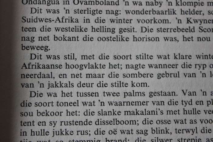 DIE LAER  deur W. A. de Klerk (ROMAN)