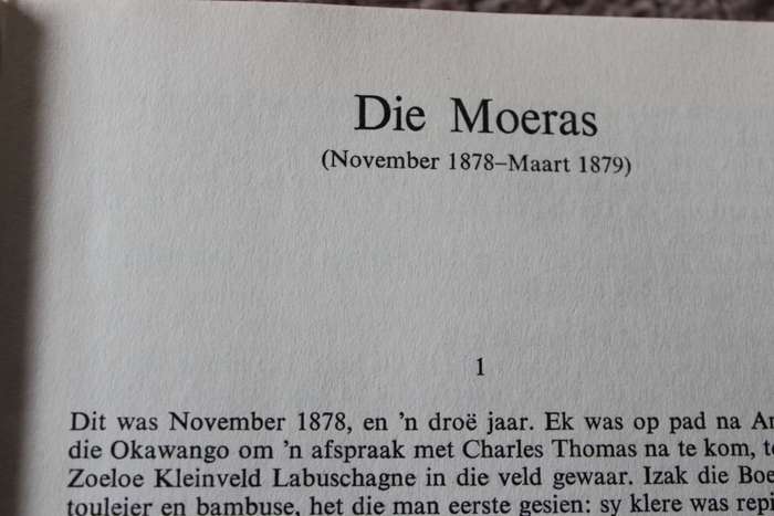 DIE LAER  deur W. A. de Klerk (ROMAN)