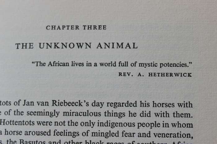 SAGA OF THE SOUTH AFRICAN HORSE  by Daphne Child