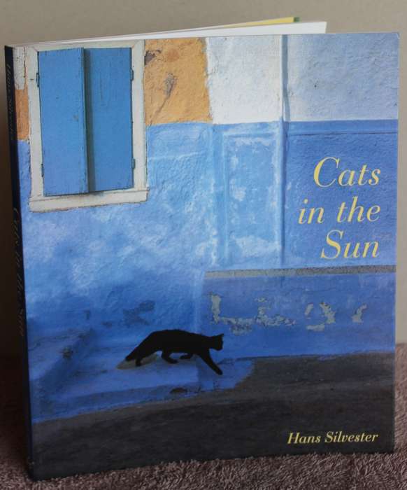 CATS IN THE SUN. Hans Silvester. (Combining cats with scenery of the Greek Islands)